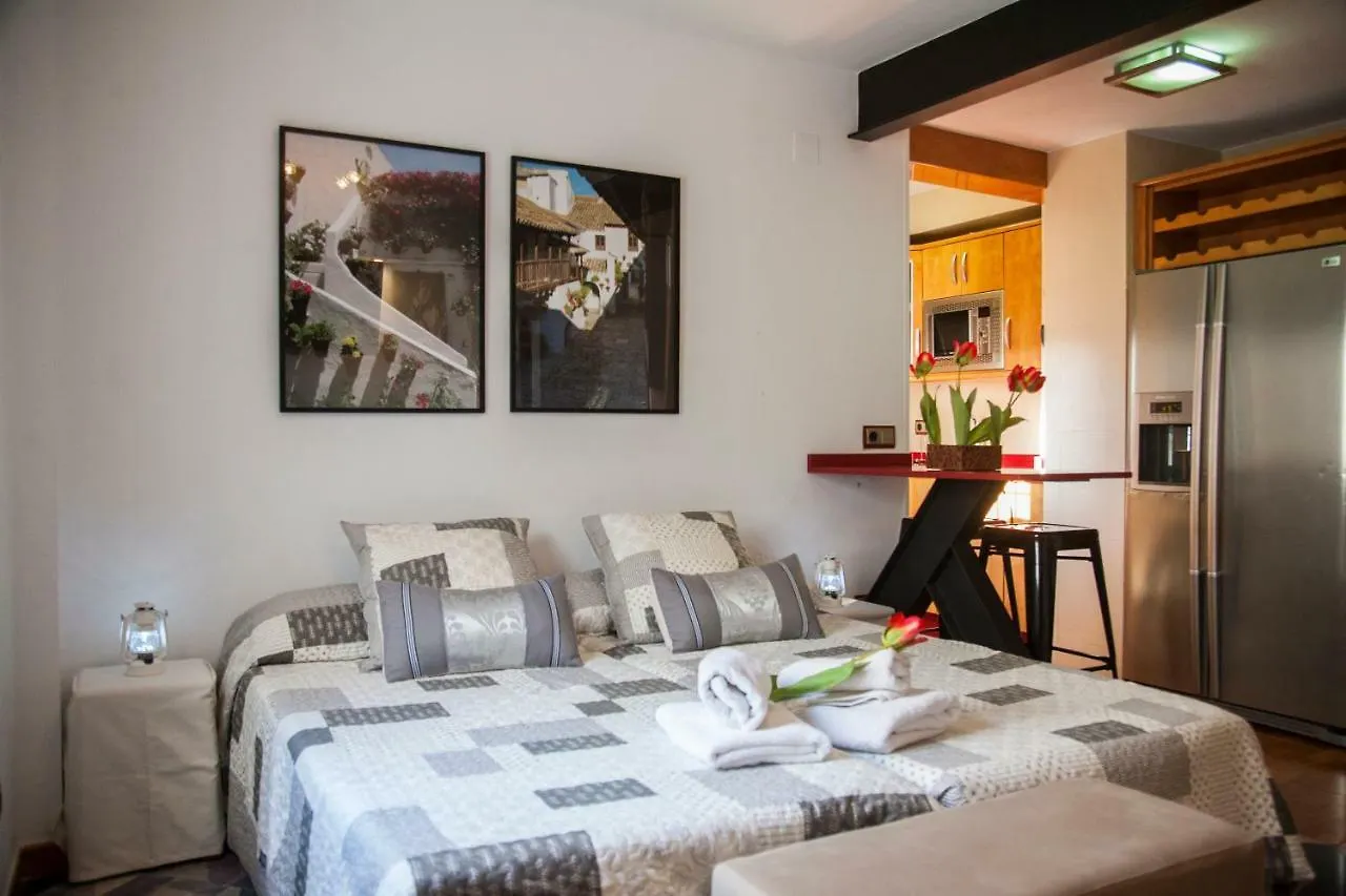 El Rincon De La Mezquita Apartment Cordoba