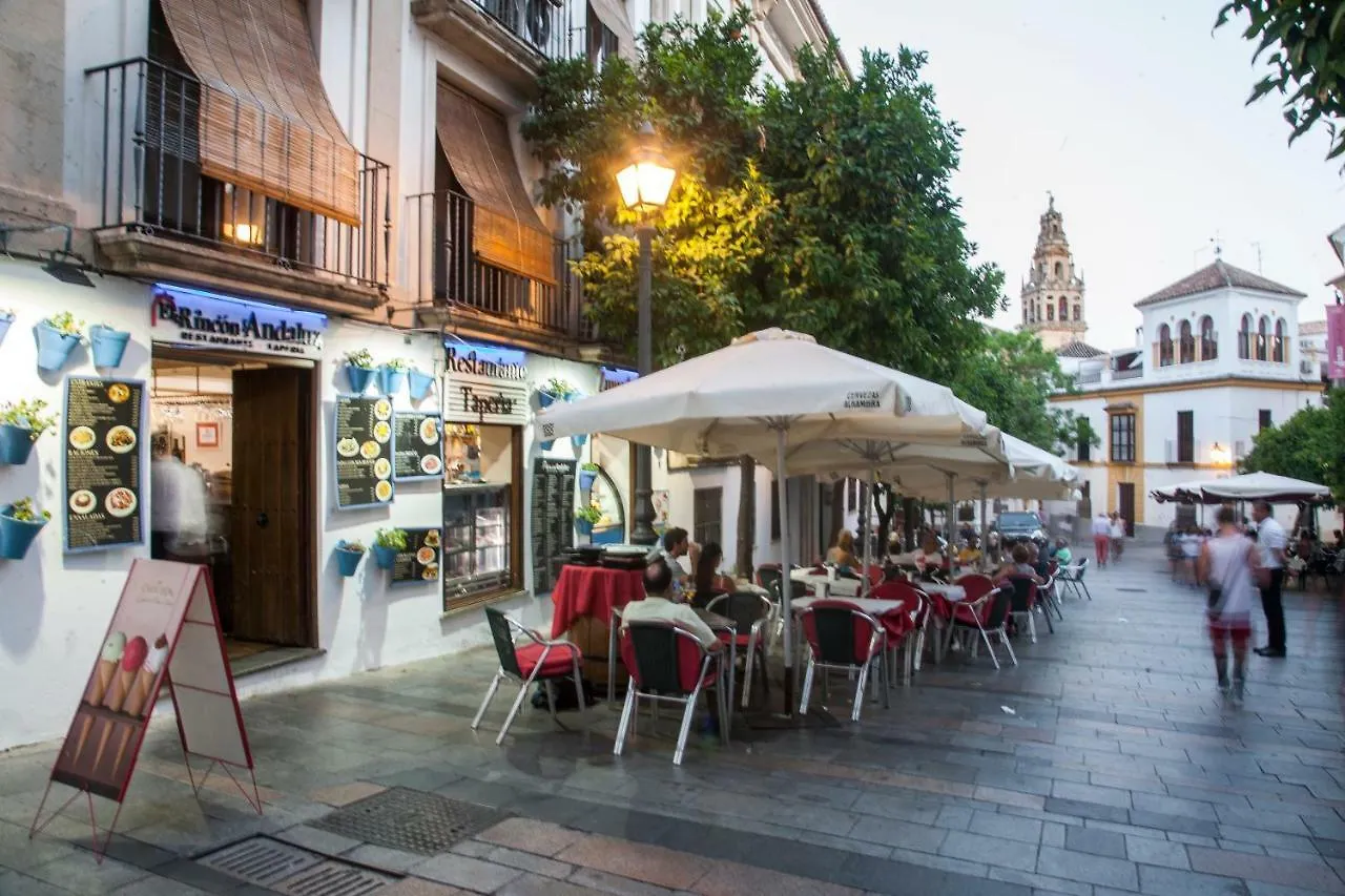 El Rincon De La Mezquita Apartment Cordoba